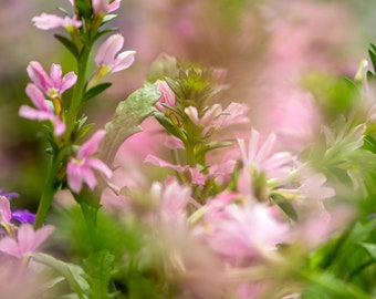 Dreamy Pink Garden Wall Art - Soft Floral Nature Print for Home Decor