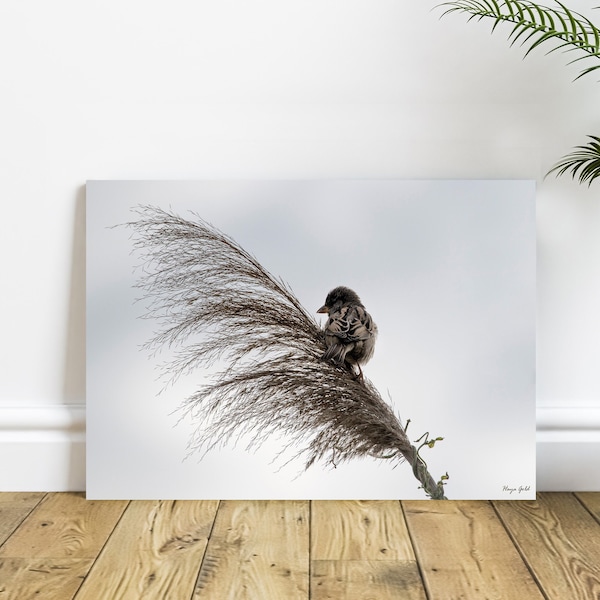 Spatz Vogel Foto Druck - Ruhiger Vogel Fotografie Wand dekor - Natur inspirierte Wand Kunst Druck - Leinwand, Papier oder Metall