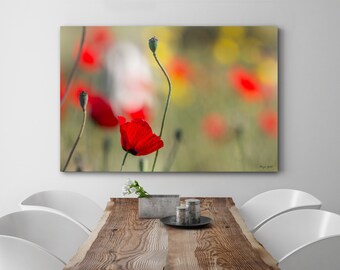 Roter Mohn Blume Fotografie Druck: Wild Spring Floral Wall Art