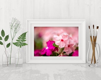 Fotografía macro de flores rosas, Estampado de arte floral rosa, Estampado de flores grandes listo para colgar, Decoración de la pared del dormitorio