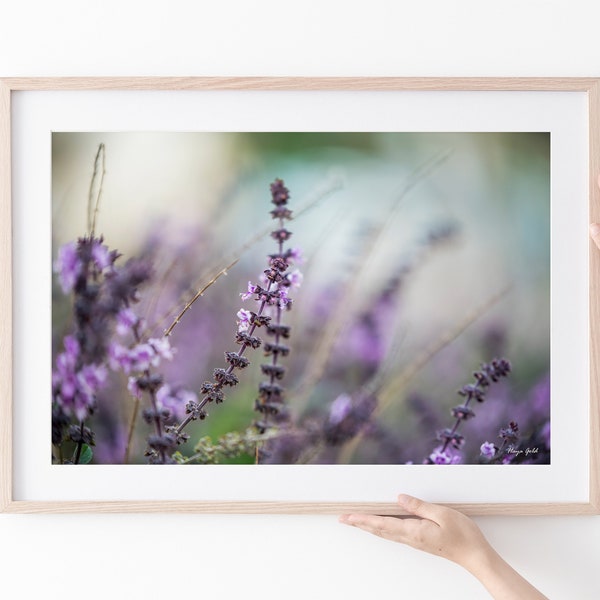 Purple Lavender Flowers Fine Art Photography Print, Gallery-Wrapped Canvas or Eco-Friendly Chroma Luxe Aluminum print, Worldwide Shipping