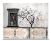 Monochrome Rustic grey urban photography