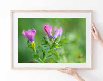 Impressão fotográfica artística de flores silvestres rosa: decoração de parede floral