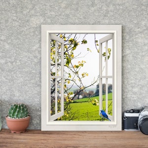 Vista de ventana de paisaje verde - Arte de lienzo de fotografía de naturaleza serena