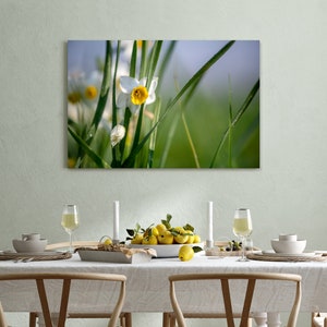 Daffodil Flower Photography Print: Ready to Hang Floral Wall Art
