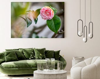 Pink Camellia Flower Wall Art – Soft Botanical Photography Print