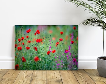 Roter Mohn Blumen Fotografie Druck: Frühlings Blumenwandkunst