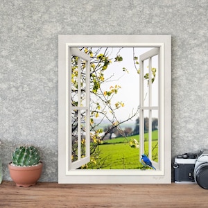 Arte mural de naturaleza de ensueño, póster enmarcado de paisaje, impresiones de naturaleza serena, decoración de pared bohemia, lienzo de bosque salvaje, decoración de pared con escena de jardín