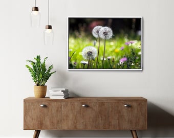 Fine Art Dandelion Photo - Wall Decor, Canvas Print, Metal Art - White Dandelion Fine Art Photography - Floral Wall Decor