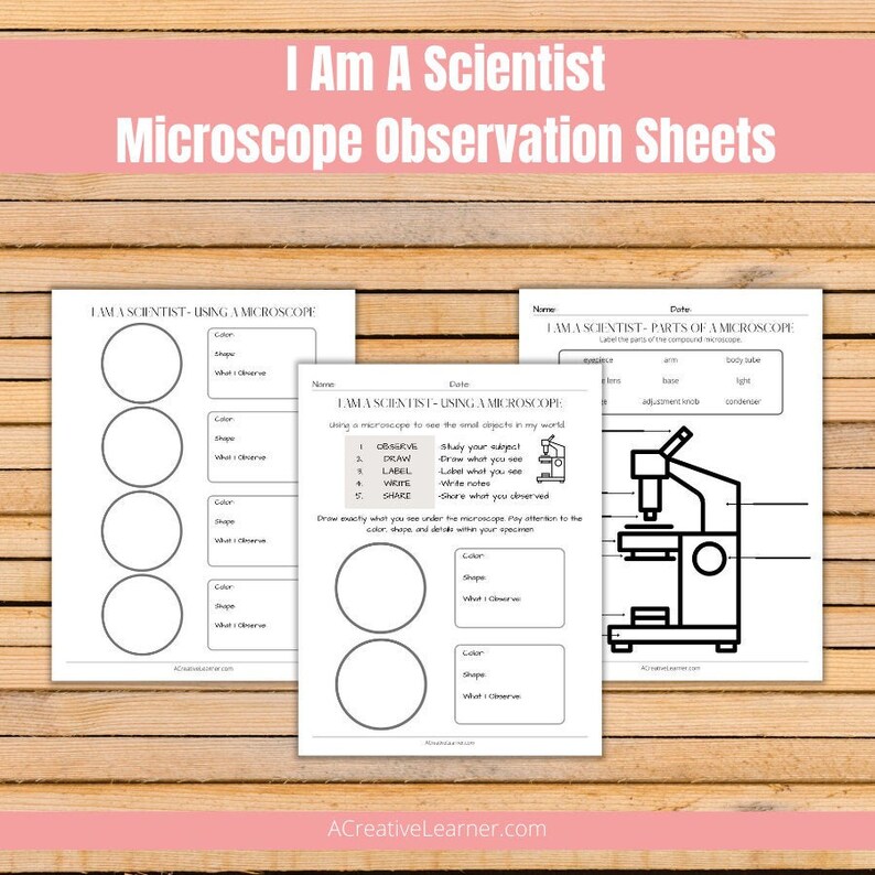Microscope Observation Recording Sheet Printable Worksheet Etsy