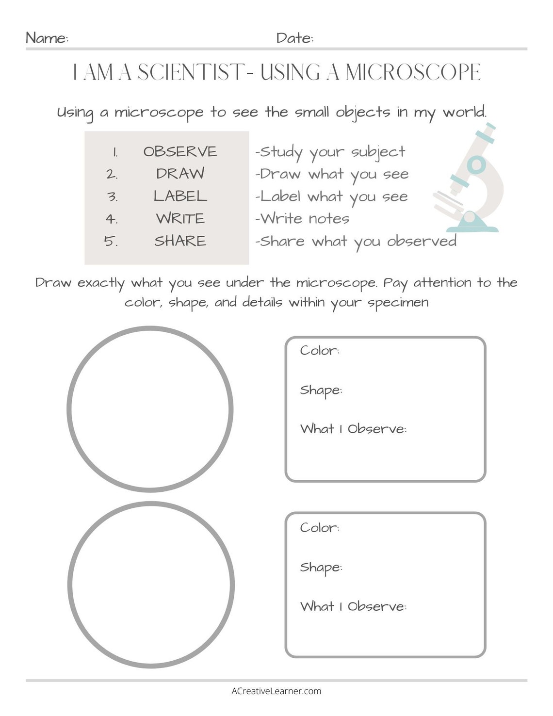 microscope-observation-recording-sheet-printable-worksheet-etsy