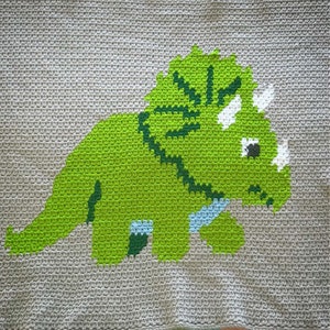 Crocheted Dinosaur Baby Blanket
