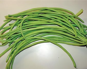 Oriental Green Yard Long,  Pole Beans,  Heirloom Seeds,   Asian Green Noodle   Asparagus Open Pollinated   Non-GMO