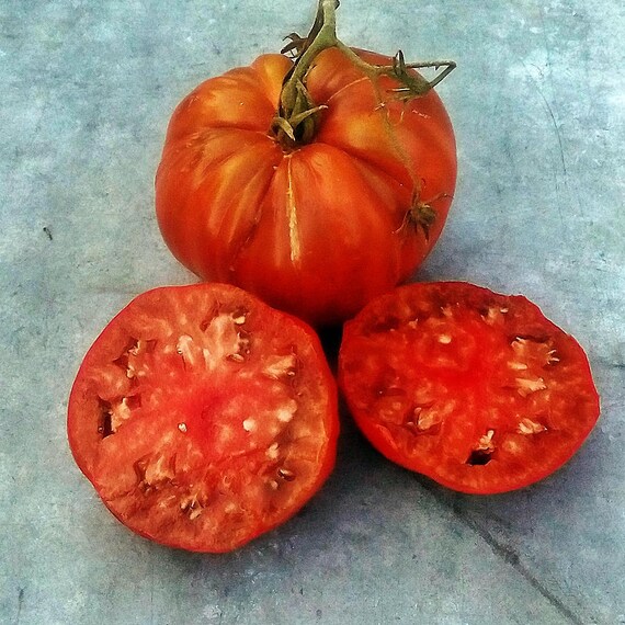 500 Seeds Brandywine RED Tomato Heirloom Open Pollinated fresh Non-GMO Big 500 Seeds Brandywine RED Tomato Heirloom Open Pollinated fresh Non-GMO Big