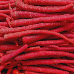 May include: A close-up shot of a pile of vibrant red carrots. The carrots are of varying sizes and shapes, with visible textures and slight imperfections. The image is well-lit, highlighting the rich color and freshness of the vegetables.