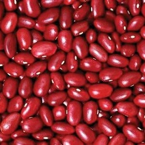 Small Red Chili, Dry Bush Bean Seeds:  Heirloom (Non-GMO Packet)