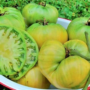 Aunt Ruby's German Green, Heirloom Tomato Seeds: Rare Natural Grown Open Pollinated Non-GMO