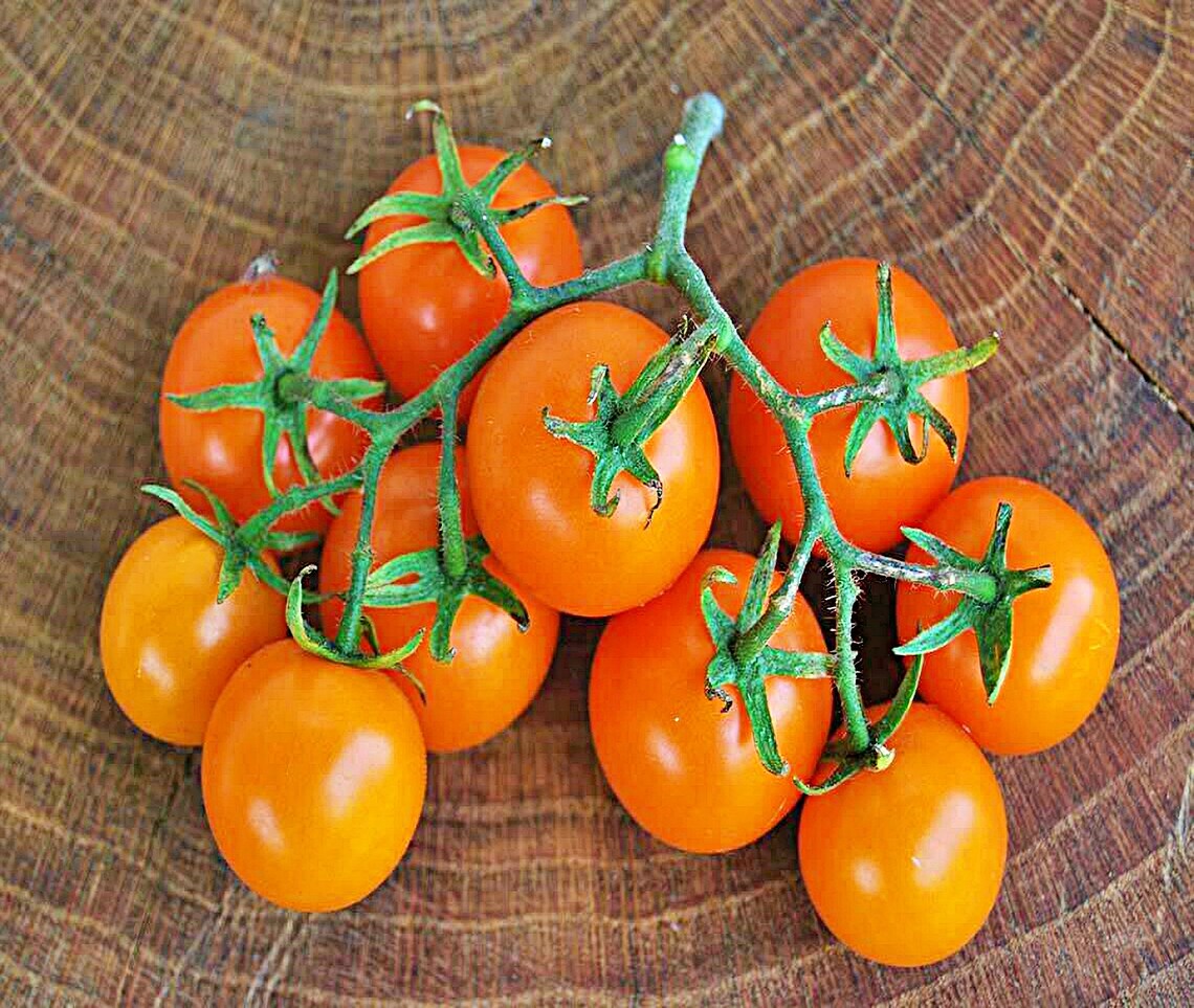 Sweet Orange Cherry Tomato Seeds NonGMO 30 Seeds Heirloom Etsy