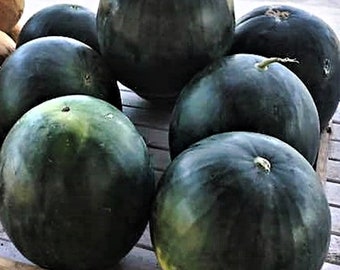 Bush Sugar Baby,  Watermelon,  Heirloom Garden Seeds  Fresh Garden Fruit   Open Pollinated   (Citrullus lanatus)  Non-Gmo Seeds