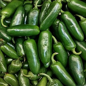 Early Jalapeno,  Hot Pepper,   Heirloom Seeds  Open Pollinated   Vegetable Seeds   Non-GMO