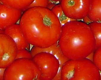 Rutgers, Heirloom Tomato Seeds: Grown to Organic Standards Open Pollinated Gardening Non-GMO