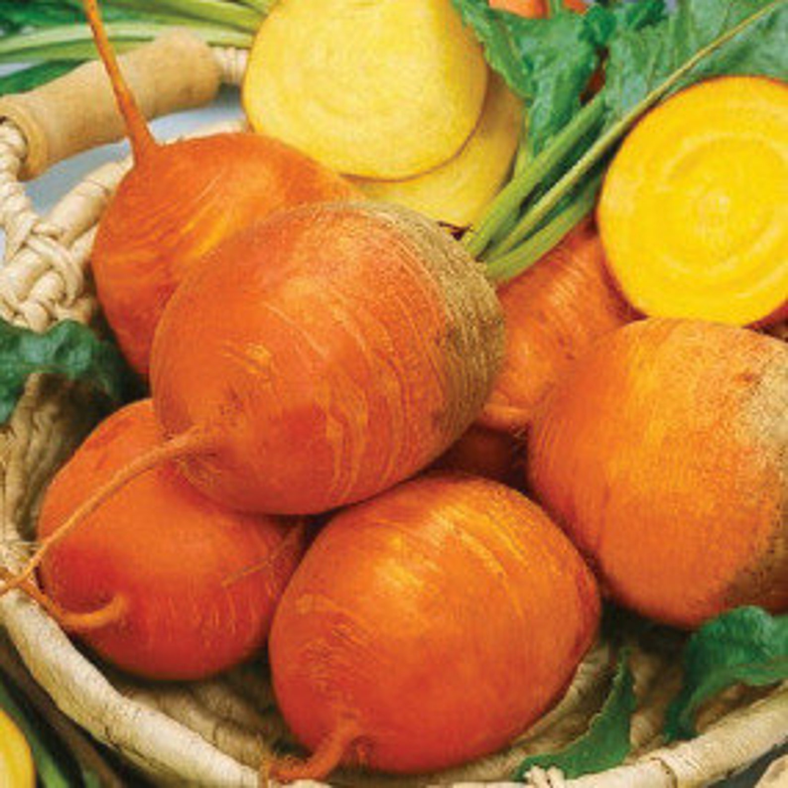 Heirloom Beets Seed Kit /naturally Grown Open Pollinated Etsy