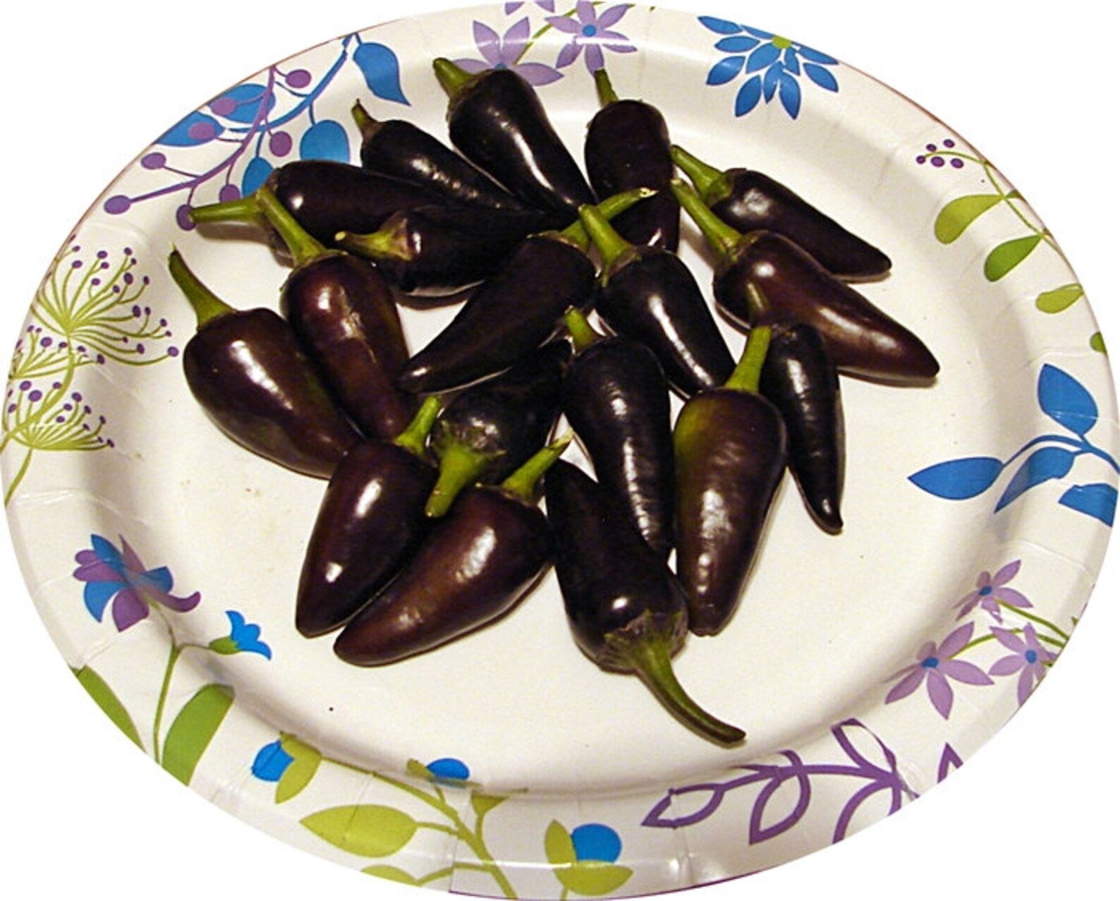 Purple Jalapeno Chili Heirloom Hot Pepper Seeds Rare Non GMO Etsy