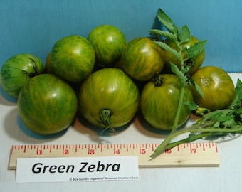 Green Zebra, Tomato,  Heirloom Garden Seeds   Grown to Organic Standards   Open Pollinated  Gardening Non-GMO