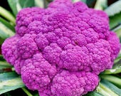 Produkt z tego sklepu