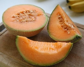 Minnesota Midget,  Cantaloupe,  Heirloom Garden Seeds  Melon Fruit Seed   Open Pollinated   Patio Container Gardening   Non-GMO