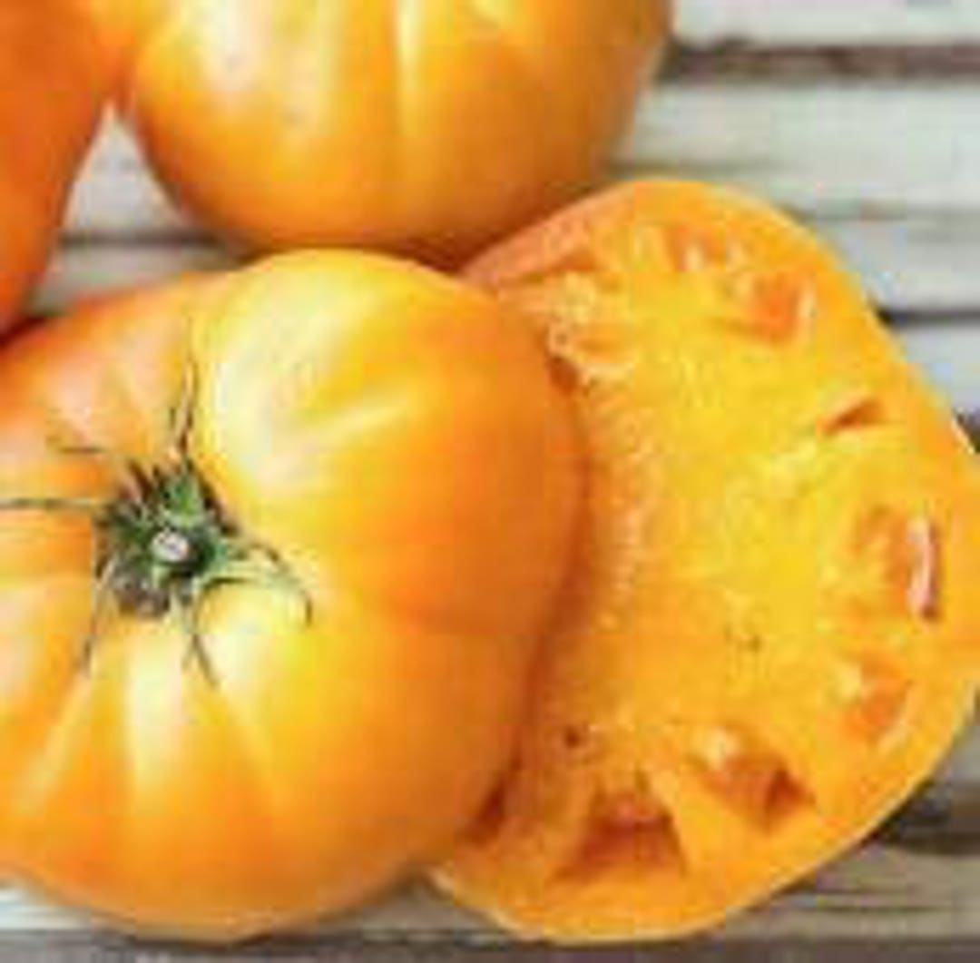 Golden Queen Tomato Heirloom Garden Seeds Organic Standards Etsy