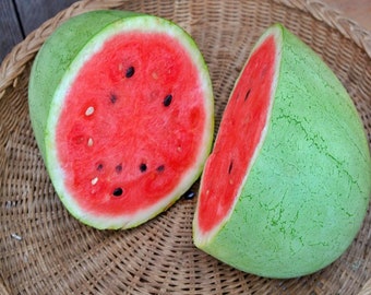 Bozeman,  Watermelon,  Heirloom Garden Seeds   Open Pollinated  Sweet Melon  Non-GMO