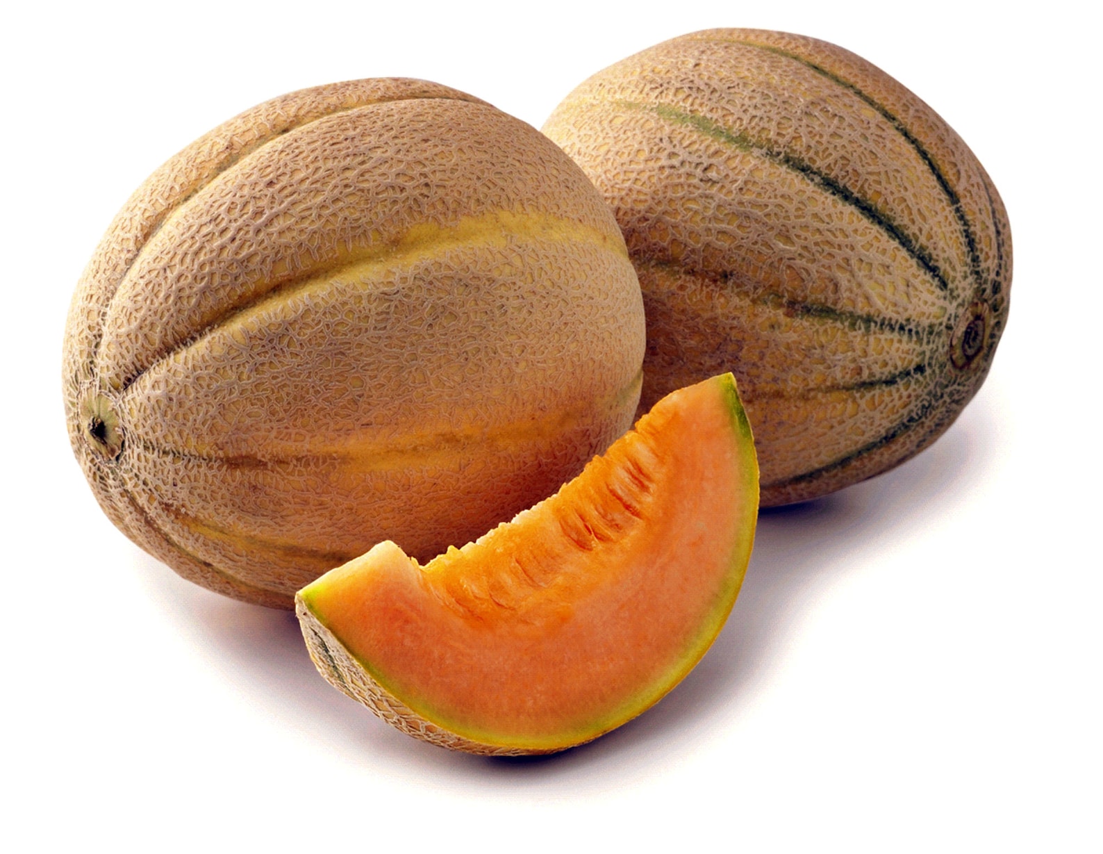 Suvival Gaden Seeds Melon Collection - 6 MHD1Packs Of Melon