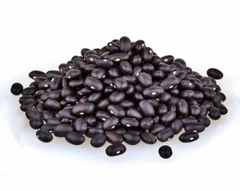 Hopi Black,   Dry Bush Beans,  Heirloom Garden Seeds  Open Pollinated  Vegetable Garden Seeds   Non-GMO