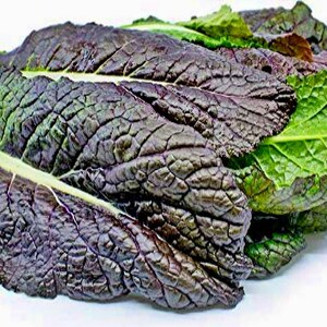 Red Garnet,  Mustard,    Heirloom Seeds,  Salad Greens   Open Pollinated   Container Garden   Non-GMO
