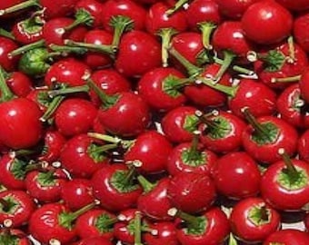 Red Cherry Bomb,    Hot Pepper,    Heirloom Garden Seeds  Open Pollinated   Container Gardening   Vegetable Seeds  Gardening Non-GMO