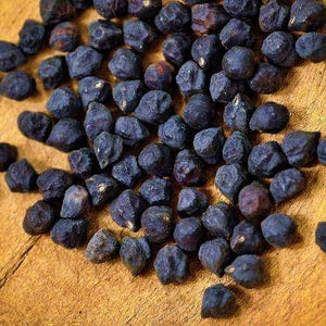 Black Garbanzo, Dry Bush Bean Seeds: Heirloom Vegetable  (Non-GMO)