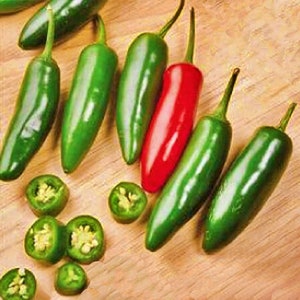 Serrano, Hot Pepper, Heirloom Seeds, Open Pollinated Vegetable Seeds Non-GMO