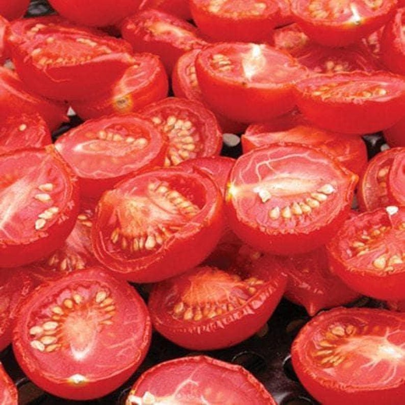 Principe Borghese Heirloom Tomato Seeds - Thumbnail 3
