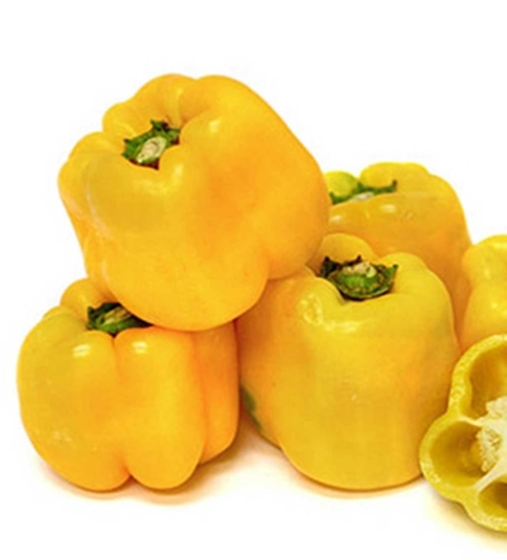 Sunbright Sweet Bell Pepper Seeds / Heirloom Etsy