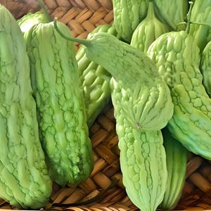 Green Skin, Bitter Melon, Heirloom Seeds, Non-GMO