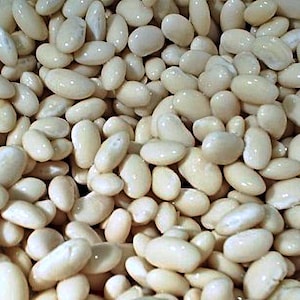 Navy, Bush Bean Seeds: Heirloom  (Non-GMO, White Dry Shell Type)