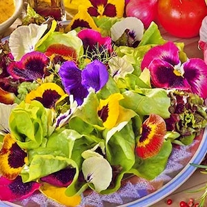 Edible Wildflower, Seed Mix, Heirloom Seeds, Bee & Butterfly Friendly Gourmet Gardening Non-GMO