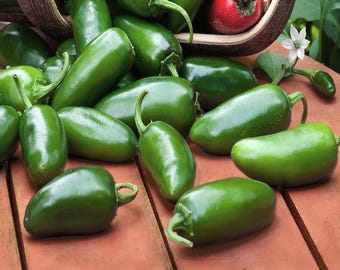 NADAPEÑO Jalapeño, Heatless Pepper Seeds: Heirloom, Mild Flavor, Variety