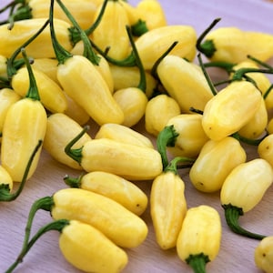 White Habanero Pepper Seeds: Heirloom, Non-GMO