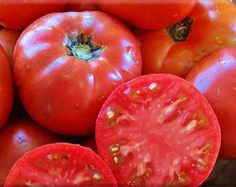 Cosmonaut Volkov,  Tomato,  Heirloom Garden Seeds   Cold-tolerant   Open Pollinated  Gardening Non-GMO