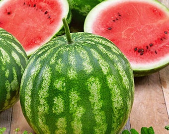 Cal Sweet Bush Watermelon   Heirloom Seeds  Open Pollinated Vegetable Seed Heirloom Non-GMO