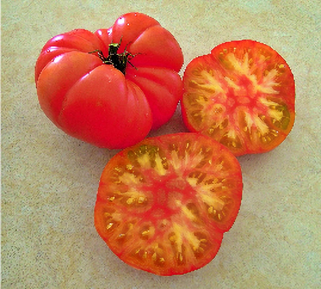 Wherokowhai Dwarf, Tomato, Heirloom Garden Seeds Gourmet Grown to