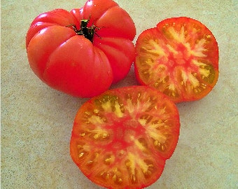 Wherokowhai Dwarf, Tomato,  Heirloom Garden Seeds   Gourmet  Grown to Organic Standards   Open Pollinated  Gardening Non-GMO