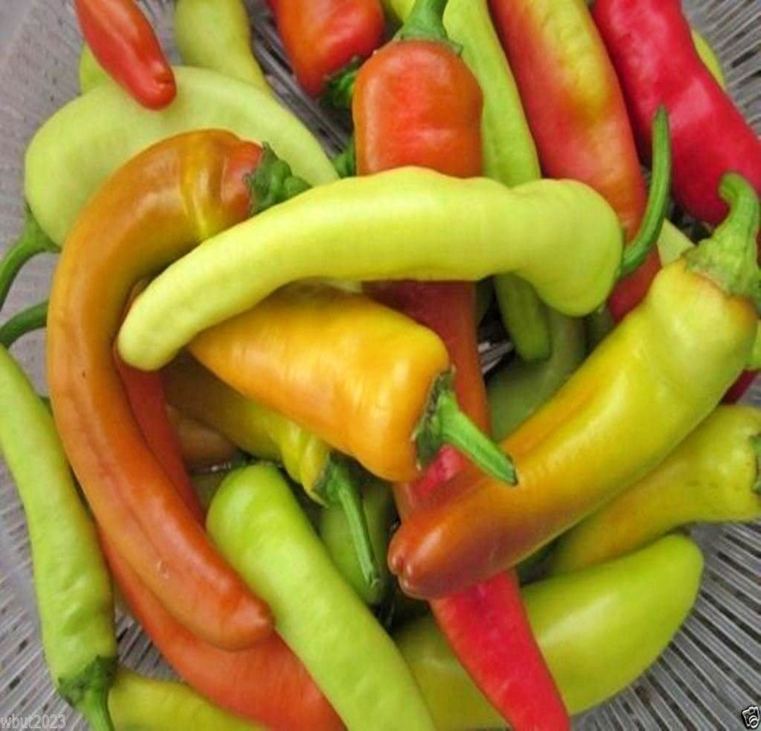 Hungarian Sweet Wax, Sweet Pepper, Heirloom Seeds, Frying Pickling ...
